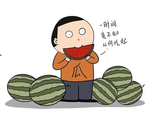 网络用语吃瓜的英文,揭秘“吃瓜群众”背后的网络文化现象